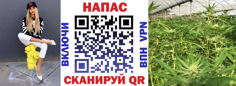 наркотики  mega онион  Конопля SATIVA & INDICA  Луза 